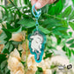 [New] Sharkitty Acrylic Key Chains - Gradient , Sharkitty