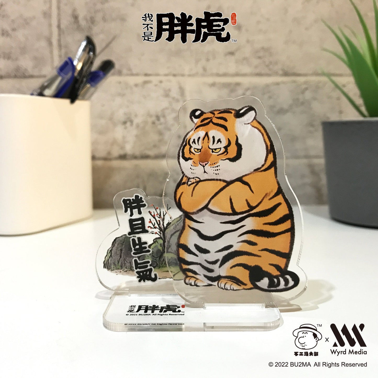 Fat Tiger Acrylic Stands Blind Bags, 5 Different Styles, Bu2ma